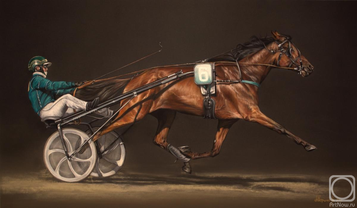 Pershneva Anna. Trotting Races