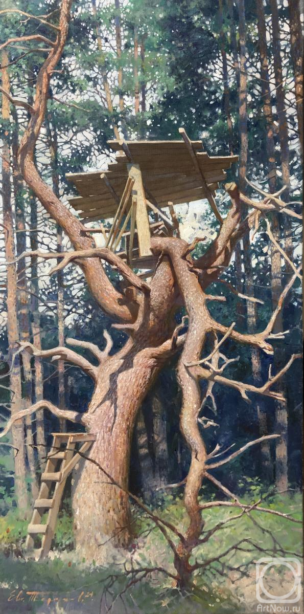 ������� ������ �� ������. ������� �������. ���� ��������