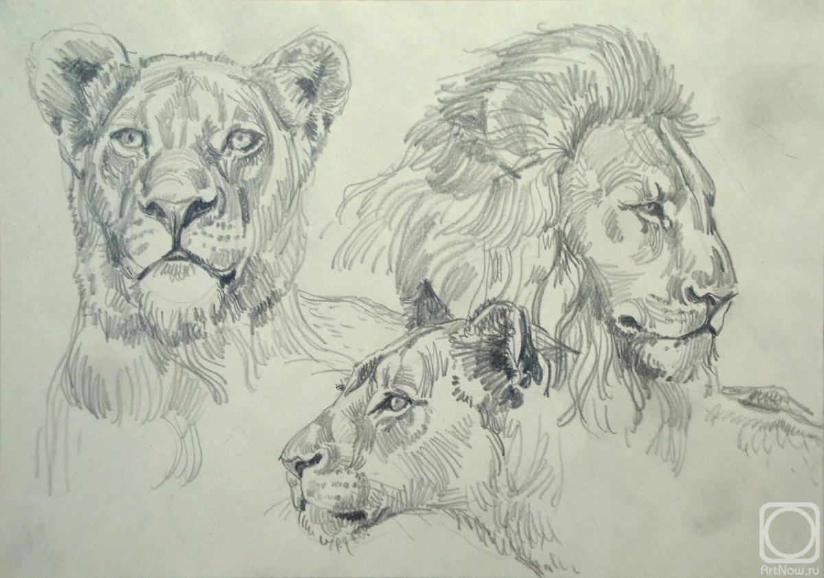 Miroshnikov Dmitriy. Lions 2