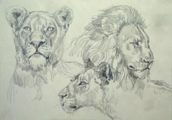 ������� ����� 2�