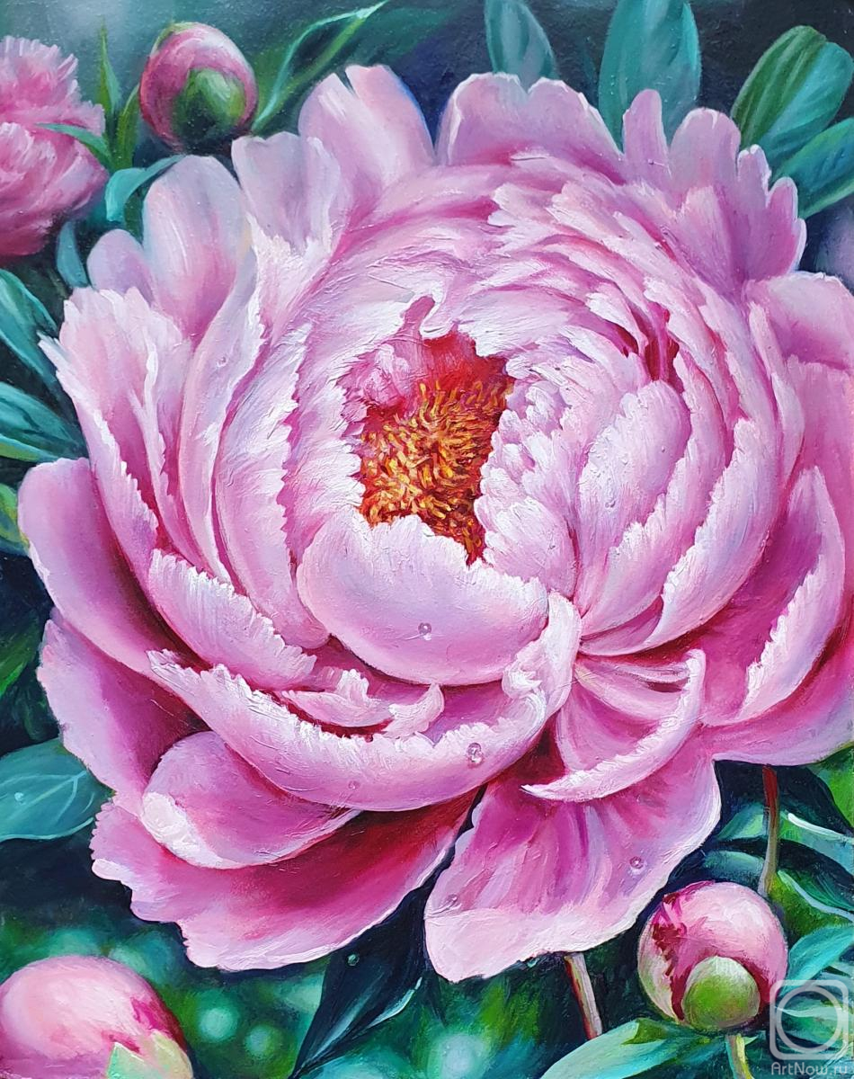 ������� ������ �� ������. �������� �������. ���� - ������ �����������