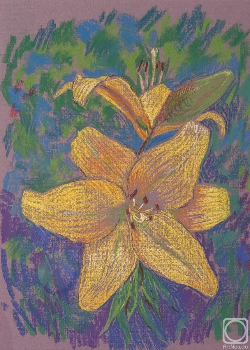 �������. ������ ������. �����