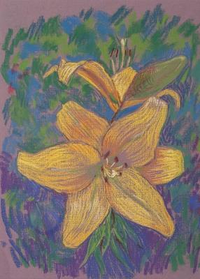 Lily. Yushkova Marina