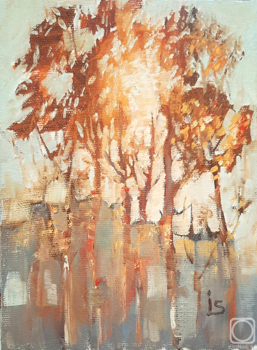 Sergeyeva Irina. Gold of autumn. Sun in the Branches