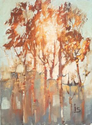 Gold of autumn. Sun in the Branches