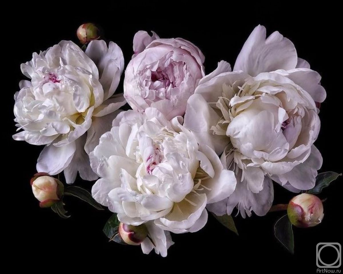 ������� ������ �� ������. ��������� �������. ����� �� ������ ����