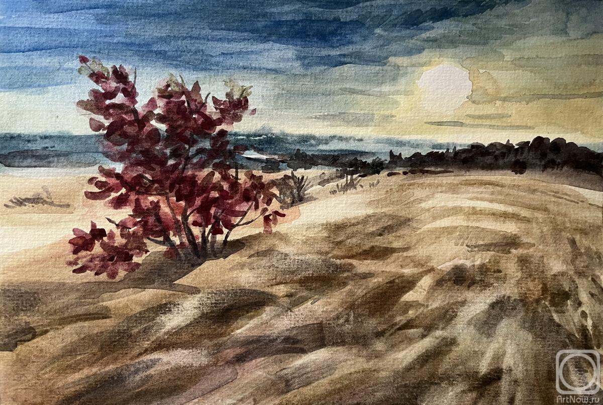 �������. ������� �������. ���� � ������� �������