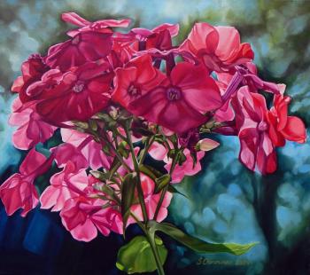 ������� (������������ ������). �������� ��������