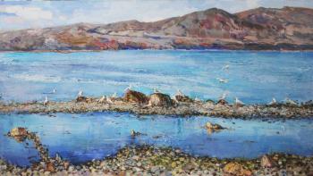 Bird Colony. Kodentseva Aleksandra