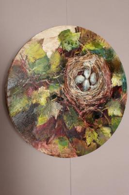 Nest (Macro Art). Kodentseva Aleksandra