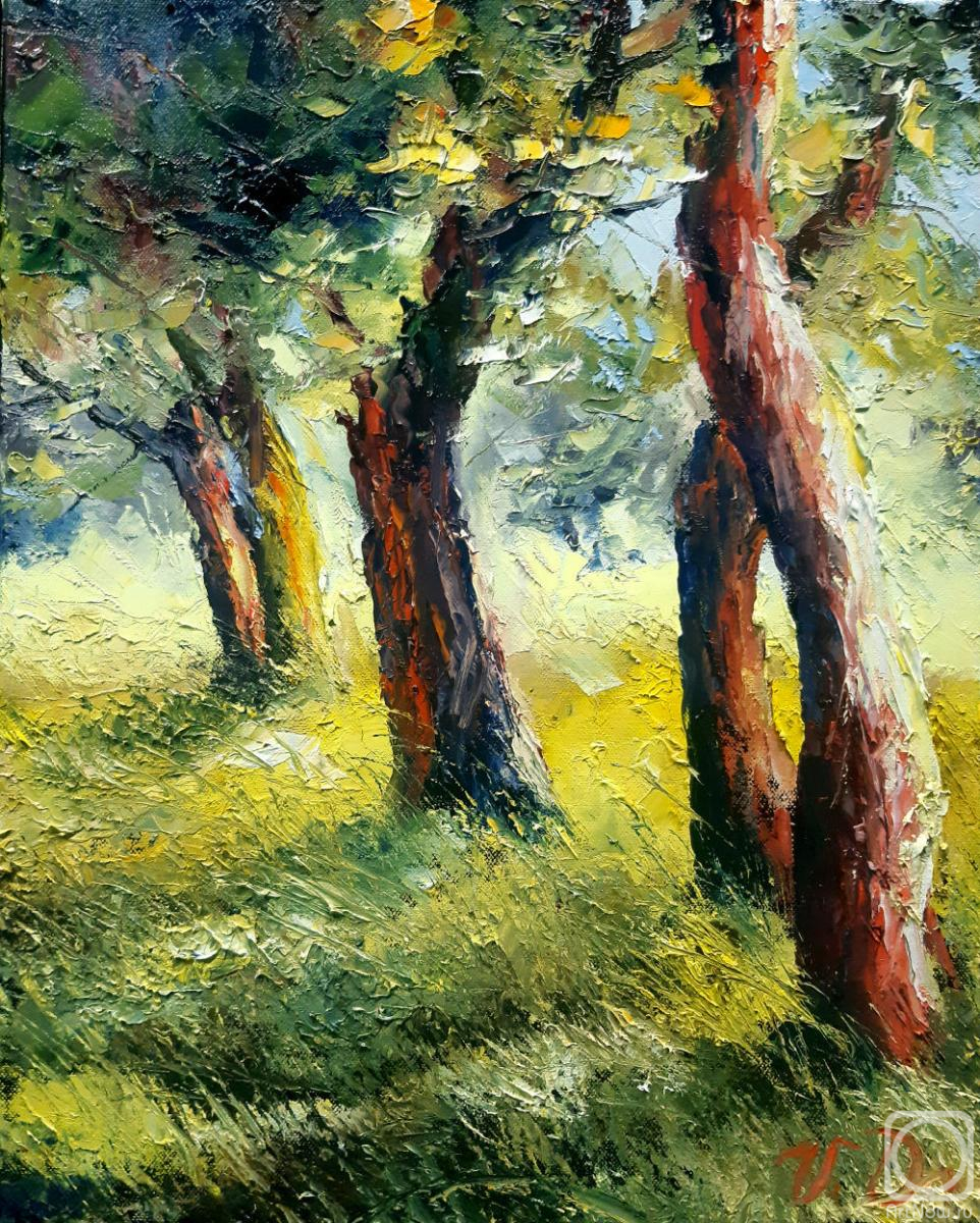 ������� ������ �� ������. �������� ���������. ����