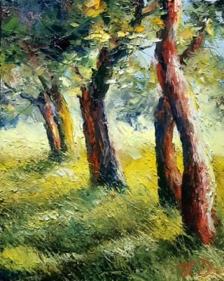 ����. �������� ���������