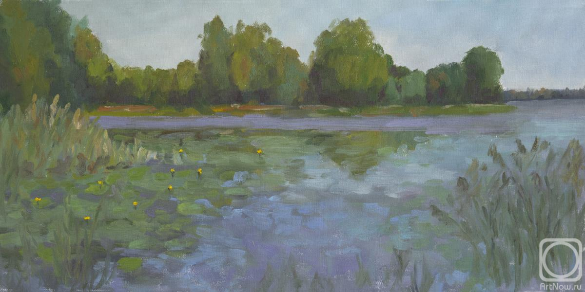 ������� ������ �� ������. �������� ��������. ��������