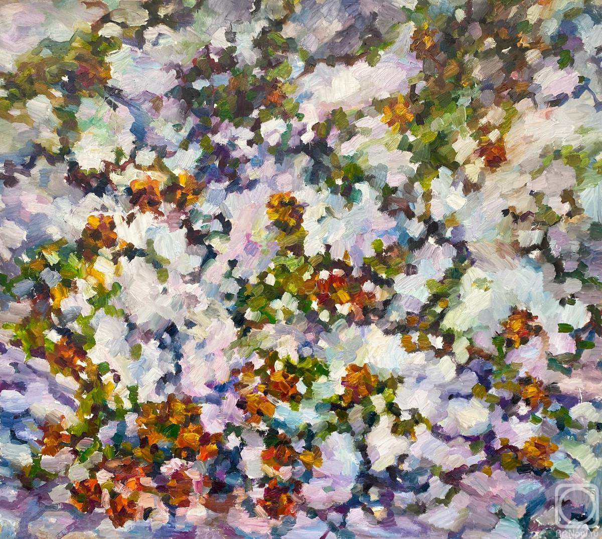 �������. ������ ��������. ���� �� ���������