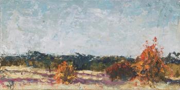 ������� �������� �������