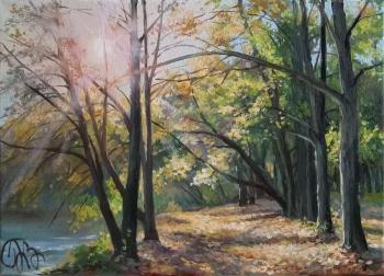 ������� ���������� ������