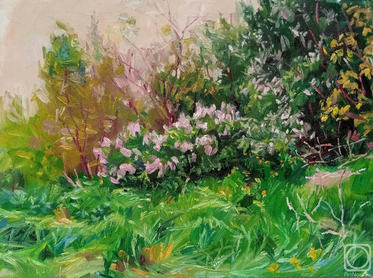 ������� ������ �� ������. ������� ��������. ���� ����� ������