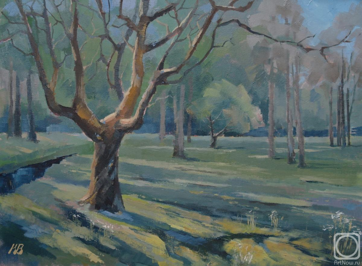 ������� ������ �� ������. �������� ����������. �������� ����