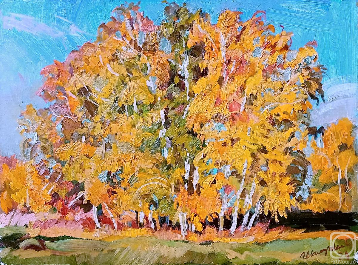 Shaluhina Oksana. Untitled