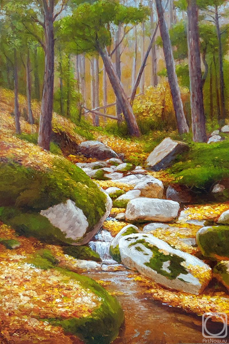 �������. ���������� ��������. ����. ������� ���