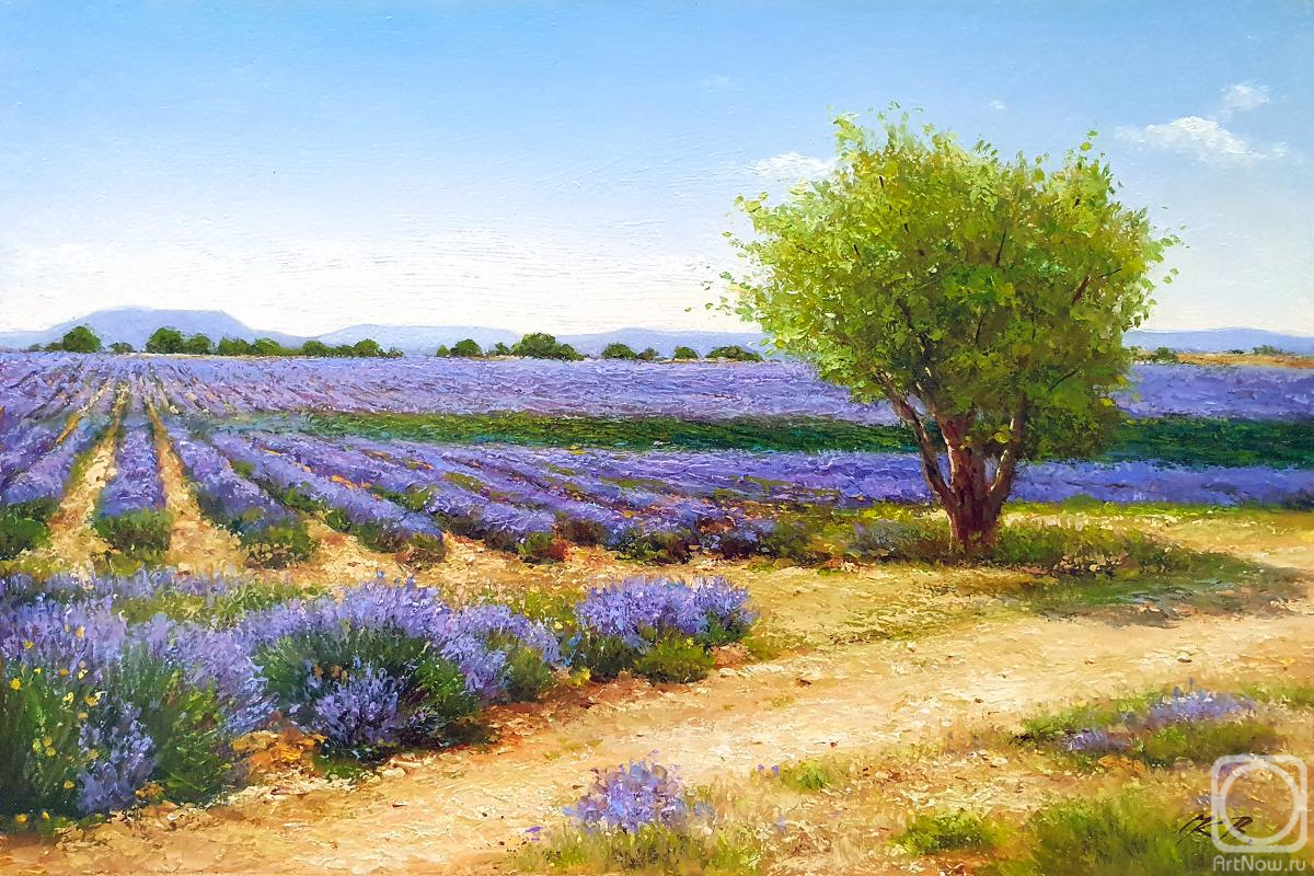 �������. ���������� ��������. ����. �������� �������