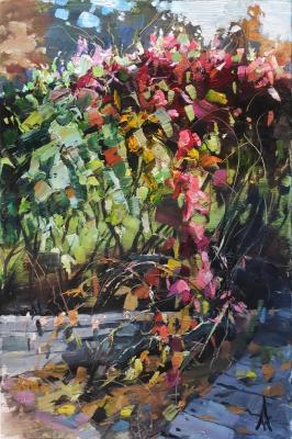 ������� �� ���� ������ ���������