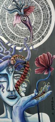 ����������� (���� ����). ������� �������