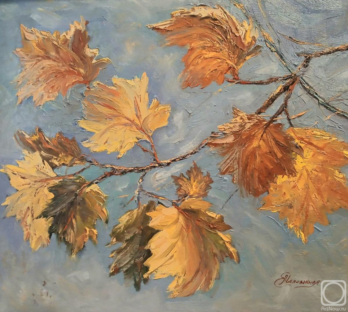 ������� ������ �� ������. �������� ���������. ������� ������