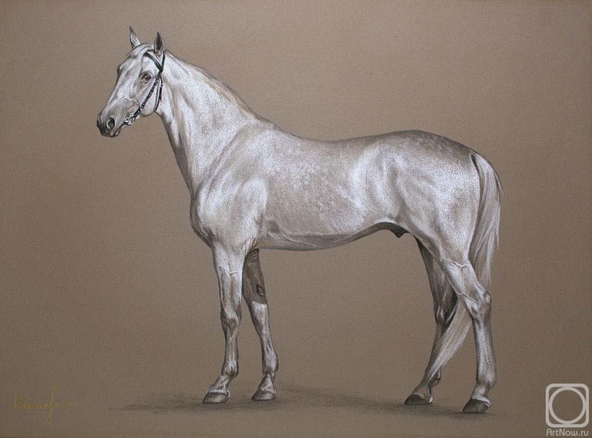 Pershneva Anna. Untitled