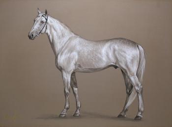 ����� ������