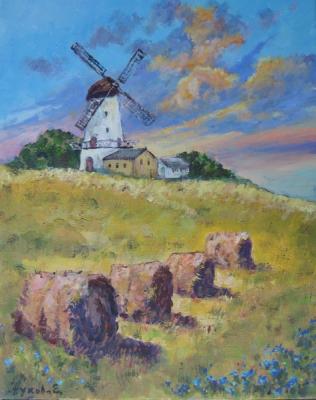 ������� ���������