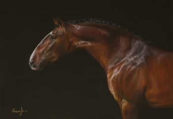 Red horse (Equestrian Sport). Pershneva Anna