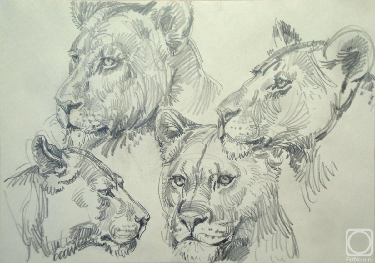 �������. ���������� �������. ���� 3