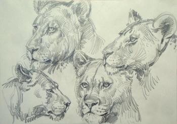 ������� ����� 3�