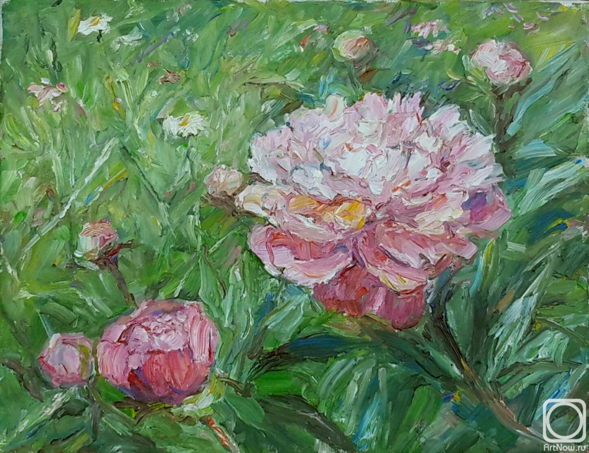 ������� ������ �� ������. �������� ������. ����