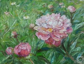 Peonies in a jug. Novikova Marina
