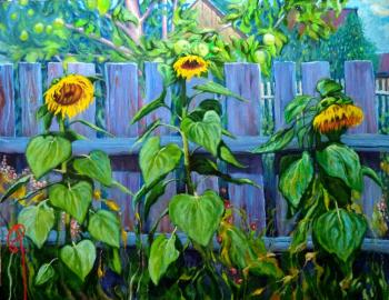 ������� �����������