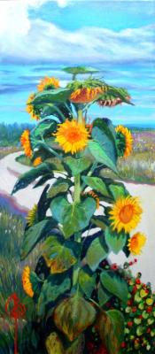 ������� �����������