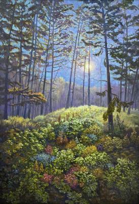 ������ ������. �������� �����