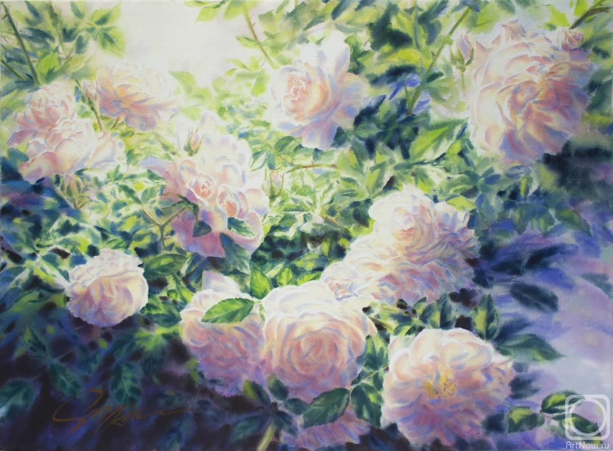 �������. �������� ������. ���� ����� ���