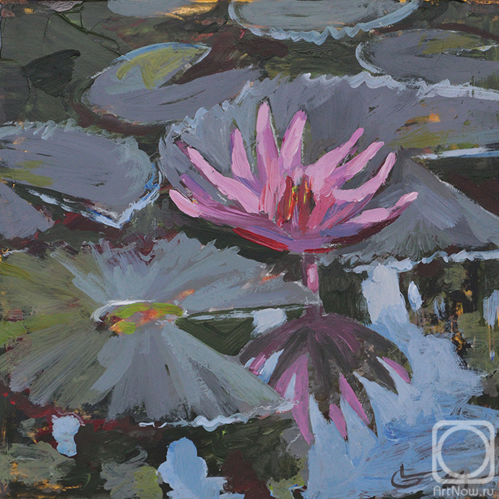 �������. ���� �����. �������. �����