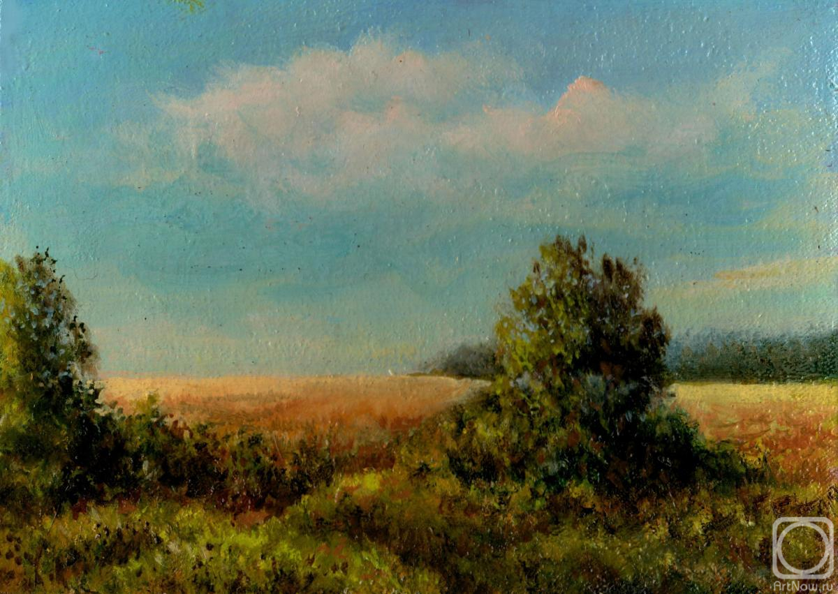 ������� ������ �� ������. ������� ��������. ����� ����� 2024