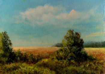 Among the Fields 2024 (Evening In The Field). Abaimov Vladimir