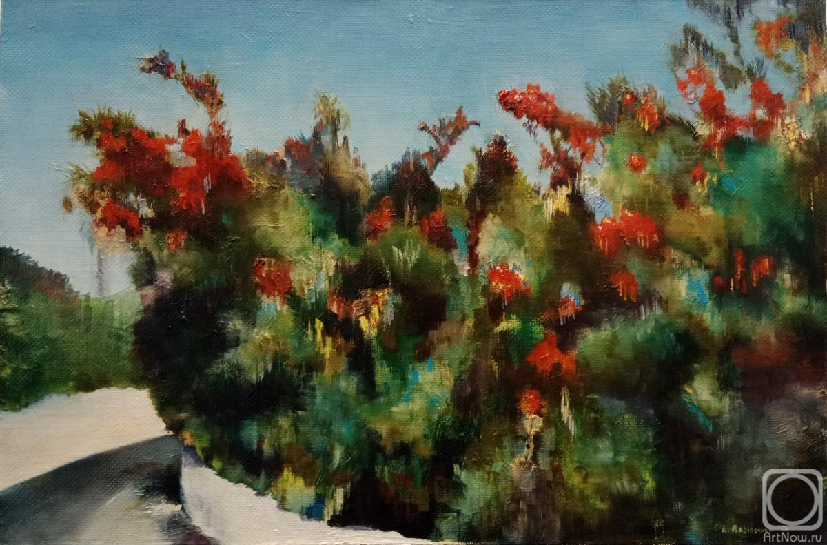 ������� ������ �� ������. ��������� �������. ����, �����