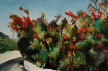 ������� �����, ������