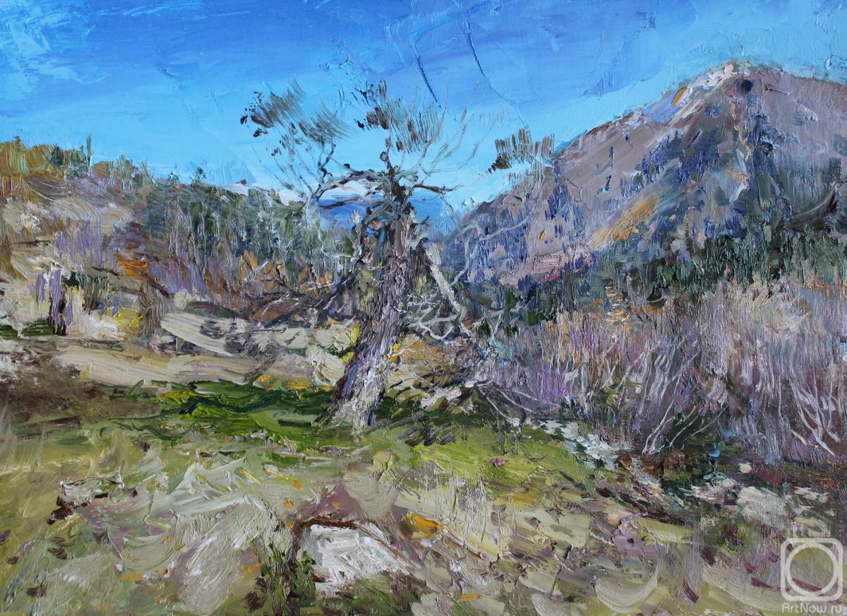 �������. ��������� ����������. �� ������ � ����