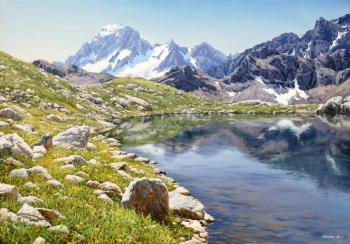 ������� ���������� ����