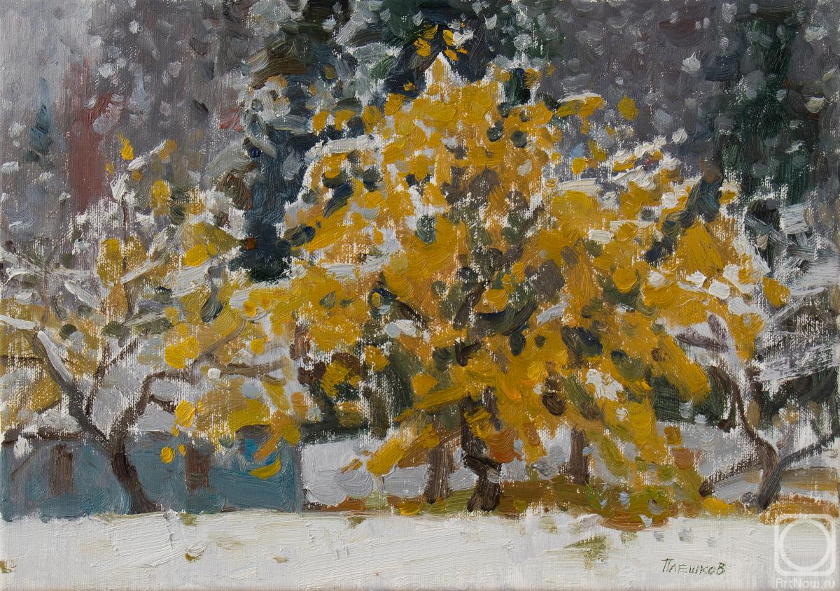 ������� ������ �� ������. ������� �������. ������ ����