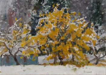 ������ ���� (���� ���� �����). ������� �������