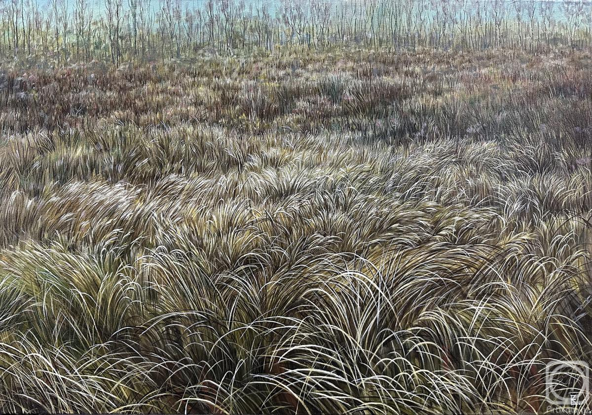 ������� ������ �� ������. ���������� ��������. ������� ������